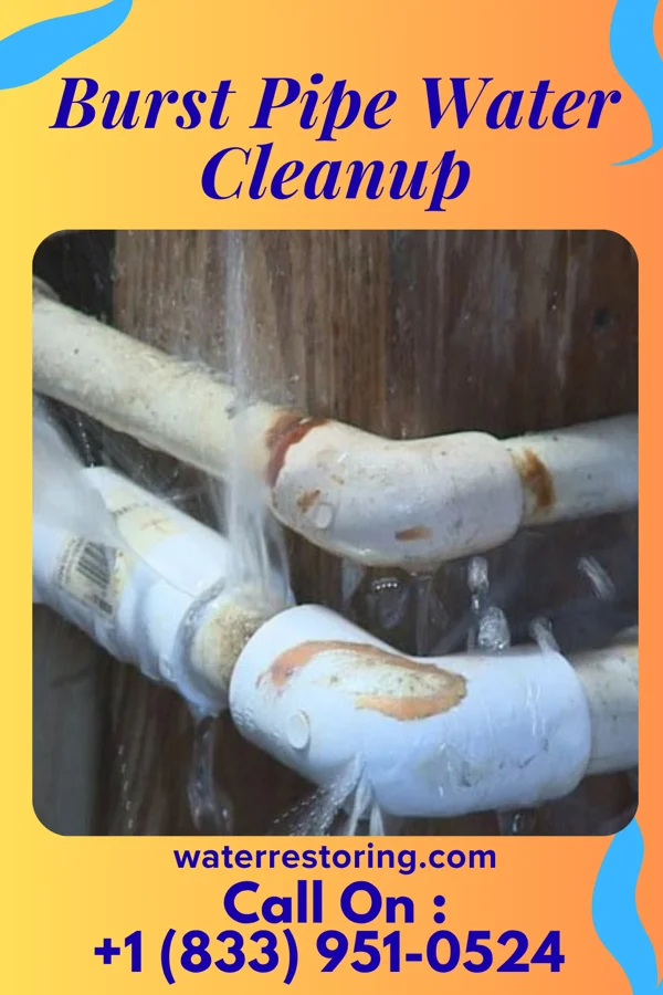 Burst Pipe Water Cleanup in Waverly, OH