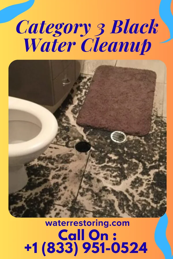 Category 3 Black Water Cleanup in Waverly, OH