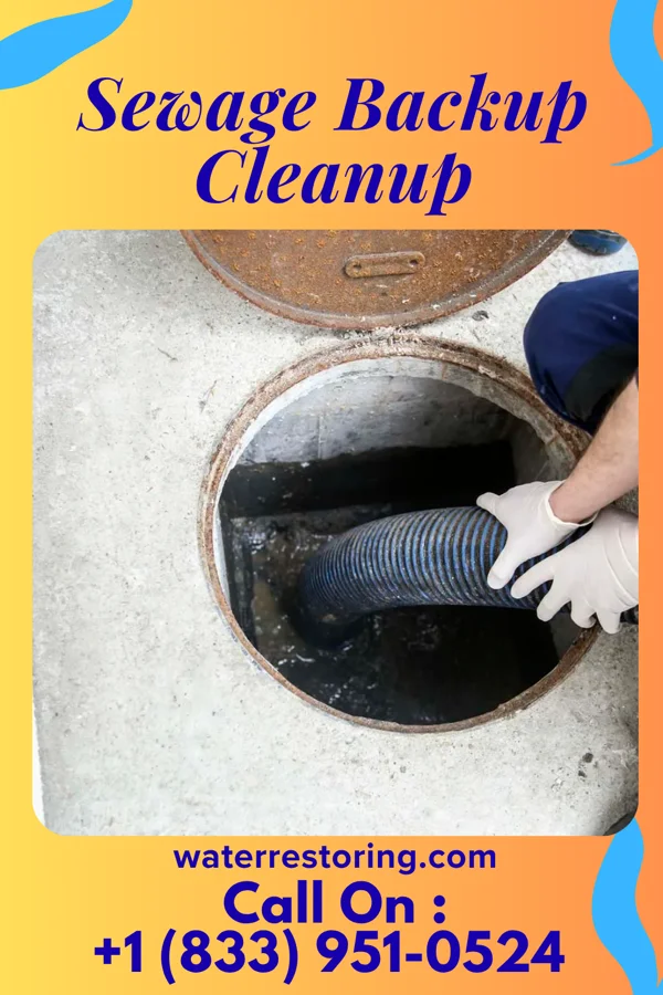 Sewage Backup Cleanup in Waverly, OH