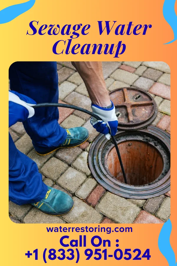 Sewage Water Cleanup in Waverly, OH