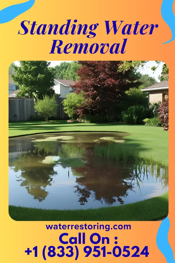 Standing Water Removal in Waverly, OH